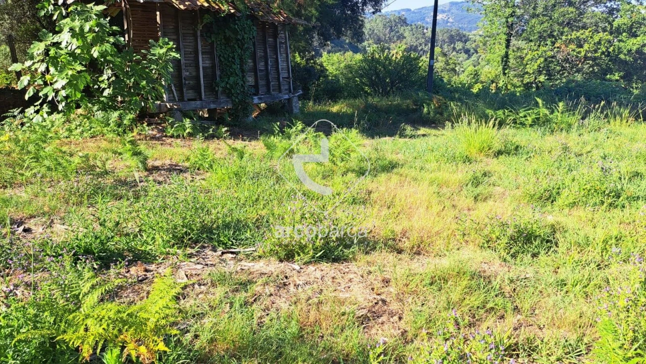 Moradia T3 para Venda em Jolda (São Paio) Foto 19