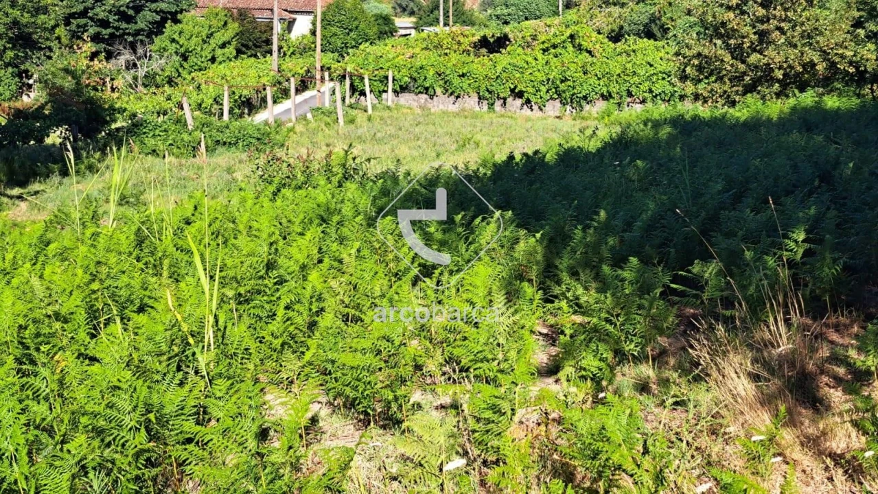 Moradia T3 para Venda em Jolda (São Paio) Foto 8