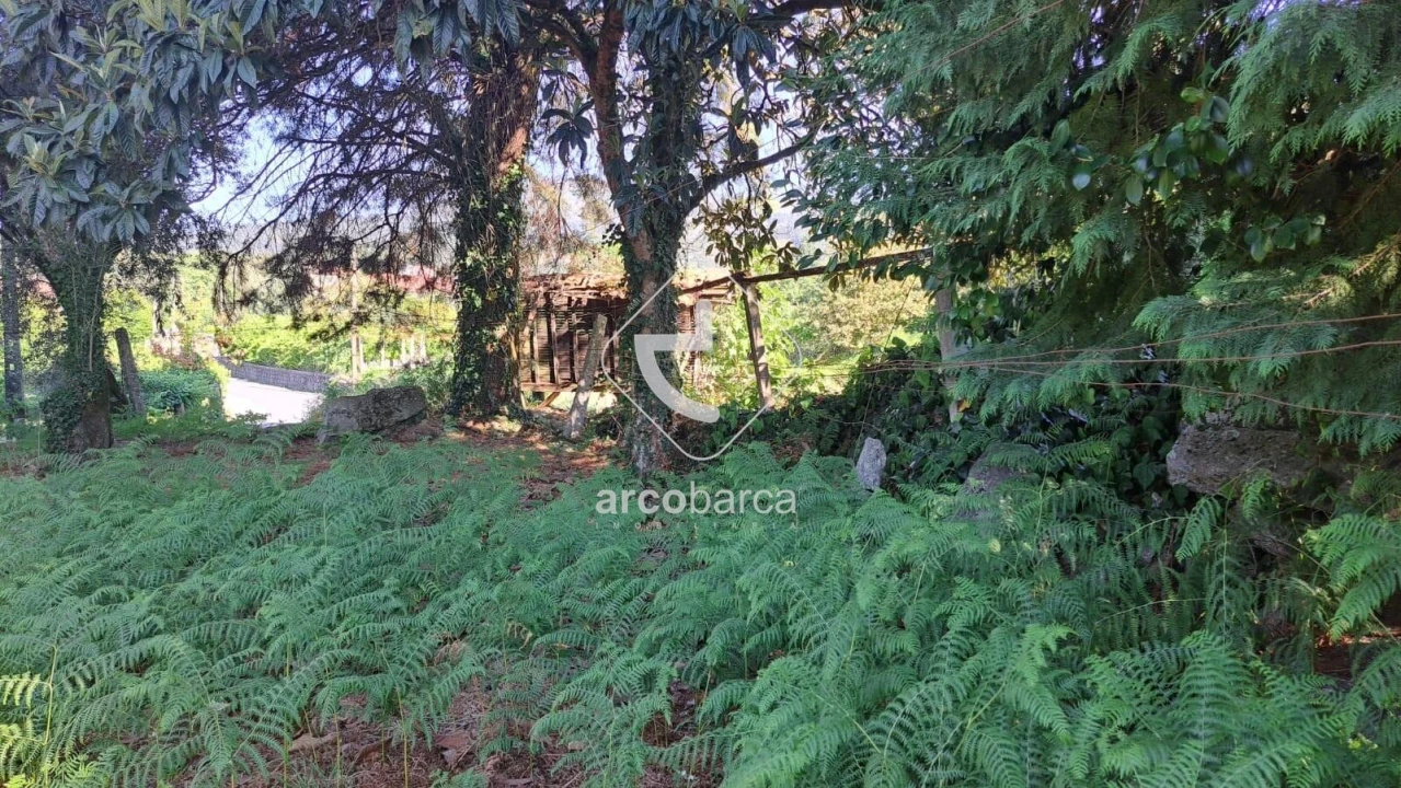 Moradia T3 para Venda em Jolda (São Paio) Foto 13