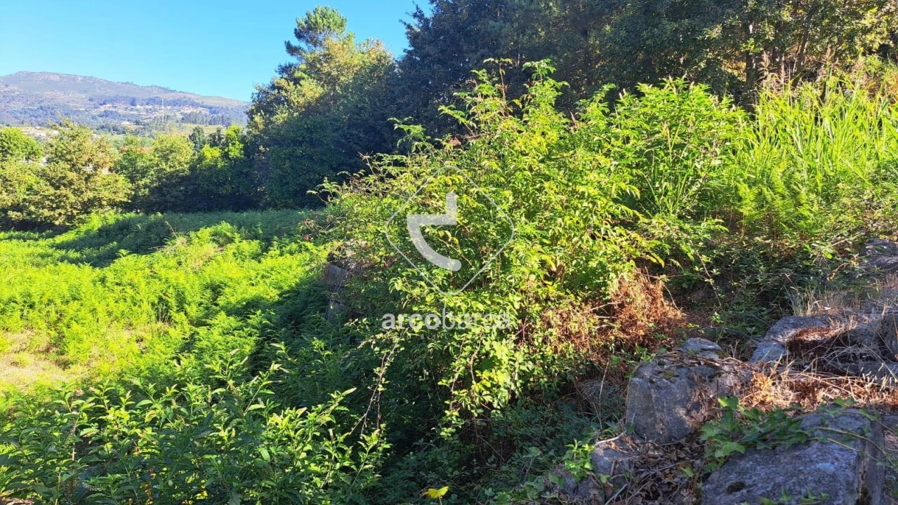 Moradia T3 para Venda em Jolda (São Paio) Foto 29