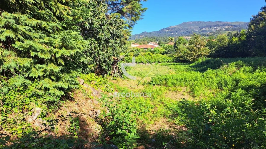 Moradia T3 para Venda em Jolda (São Paio) Foto 11