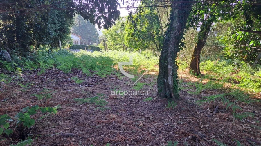 Moradia T3 para Venda em Jolda (São Paio) Foto 10