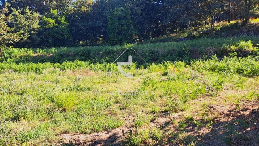 Moradia T3 para Venda em Jolda (São Paio) Foto 2