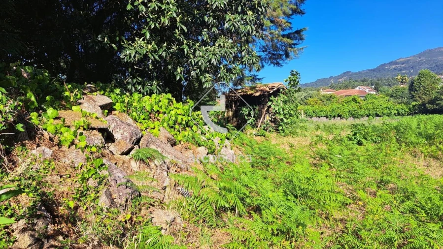 Moradia T3 para Venda em Jolda (São Paio) Foto 20