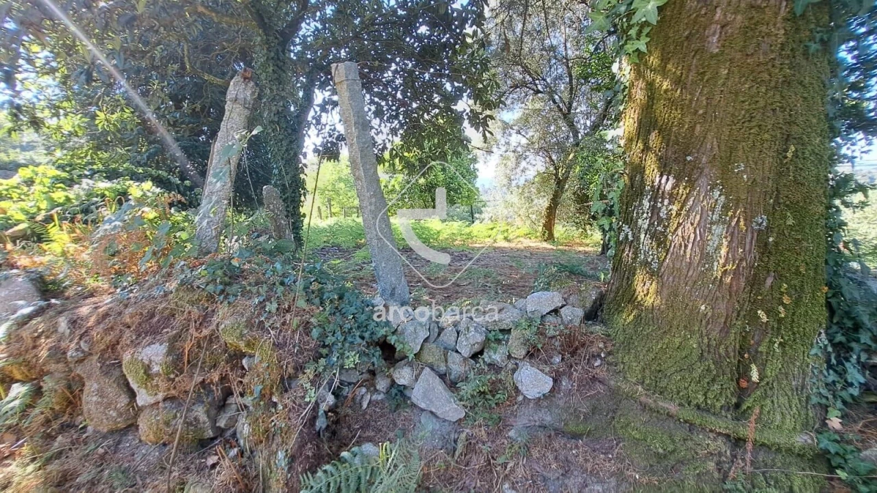 Moradia T3 para Venda em Jolda (São Paio) Foto 21