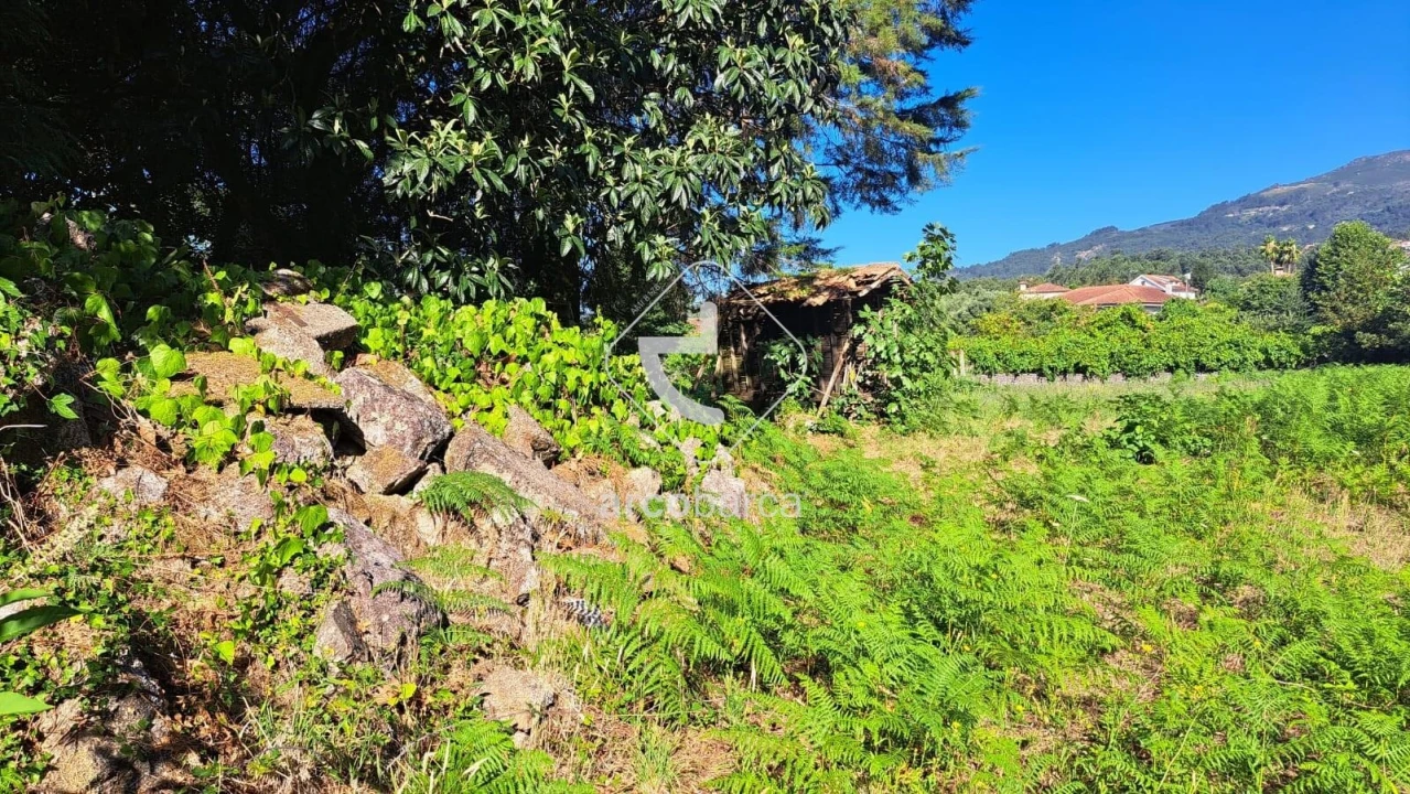 Moradia T3 para Venda em Jolda (São Paio) Foto 20