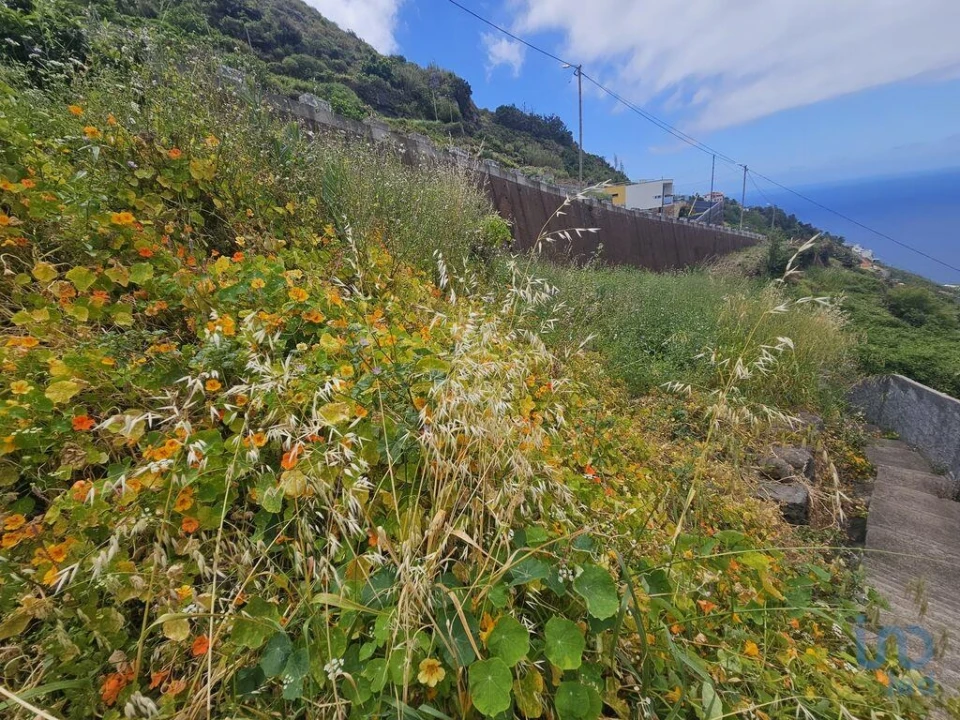 Terreno para Venda em Campanario Foto 4