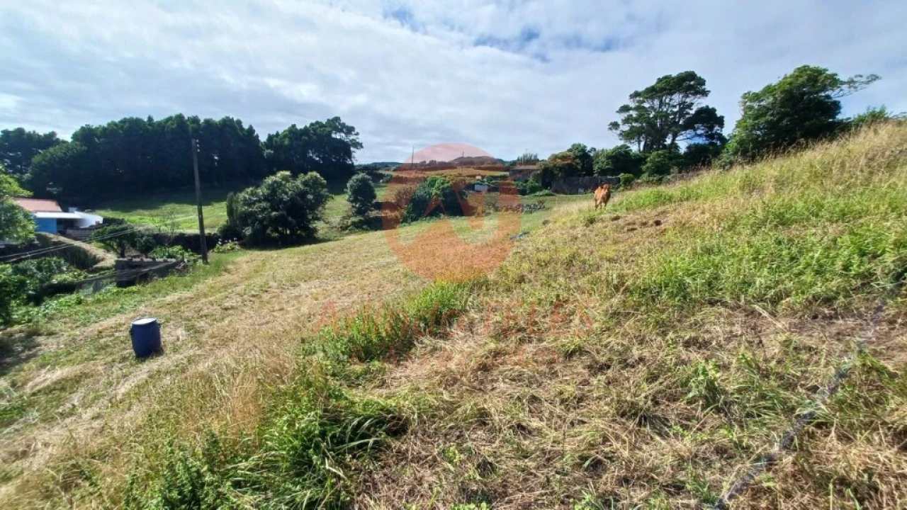 Terreno para Venda em Calheta Foto 8