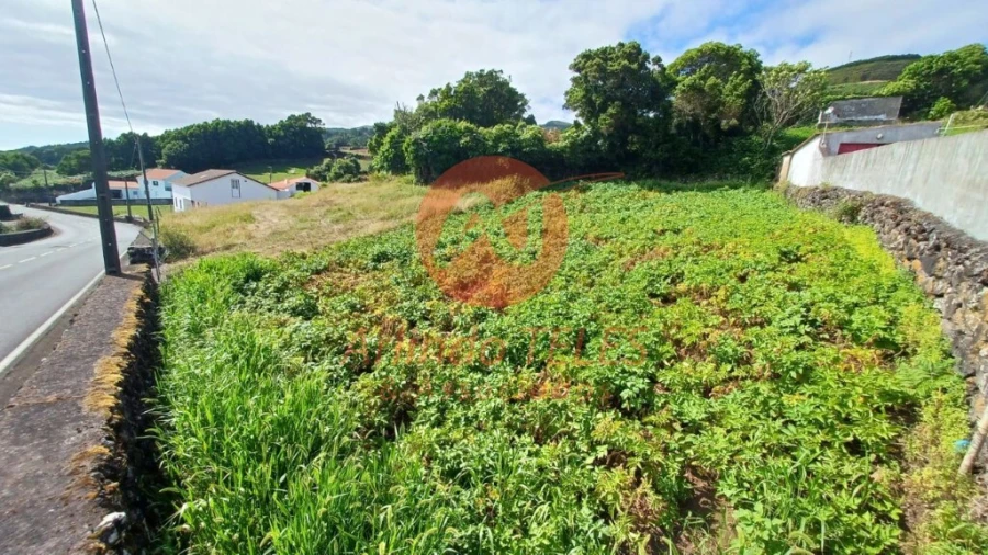 Terreno para Venda em Calheta Foto 12