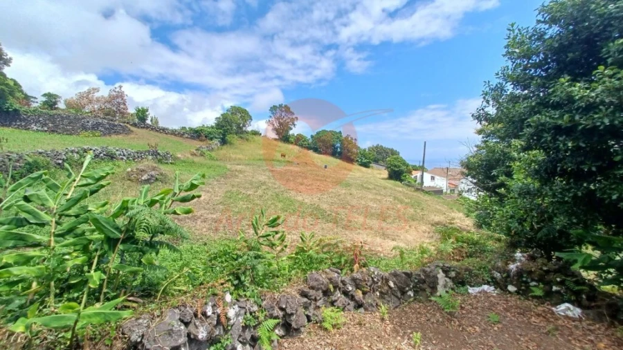 Terreno para Venda em Calheta Foto 6