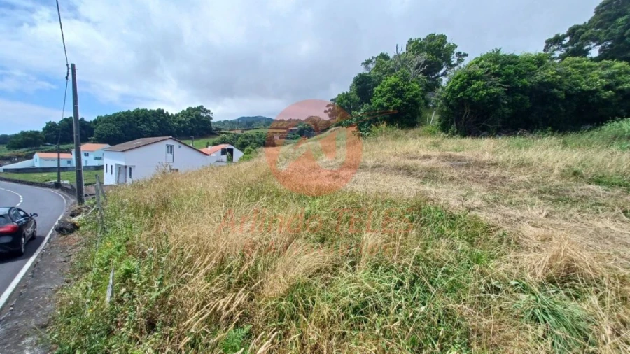 Terreno para Venda em Calheta Foto 4