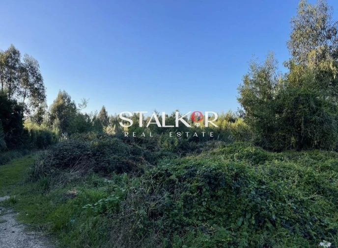 Terreno para Venda em Nogueira da Regedoura Foto 4