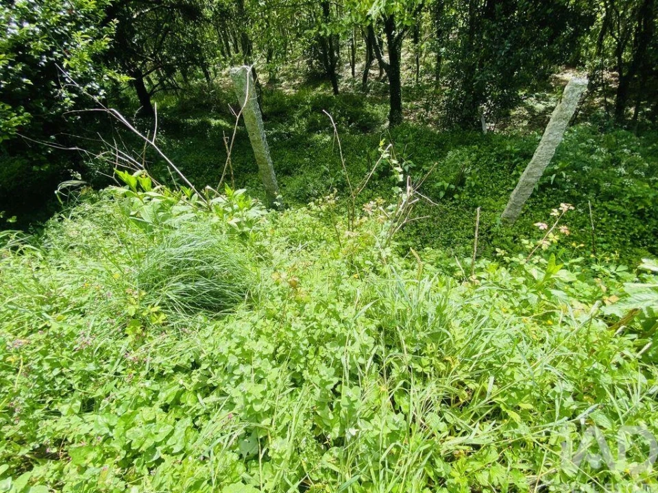 Moradia T6 para Venda em Candemil e Gondar Foto 16