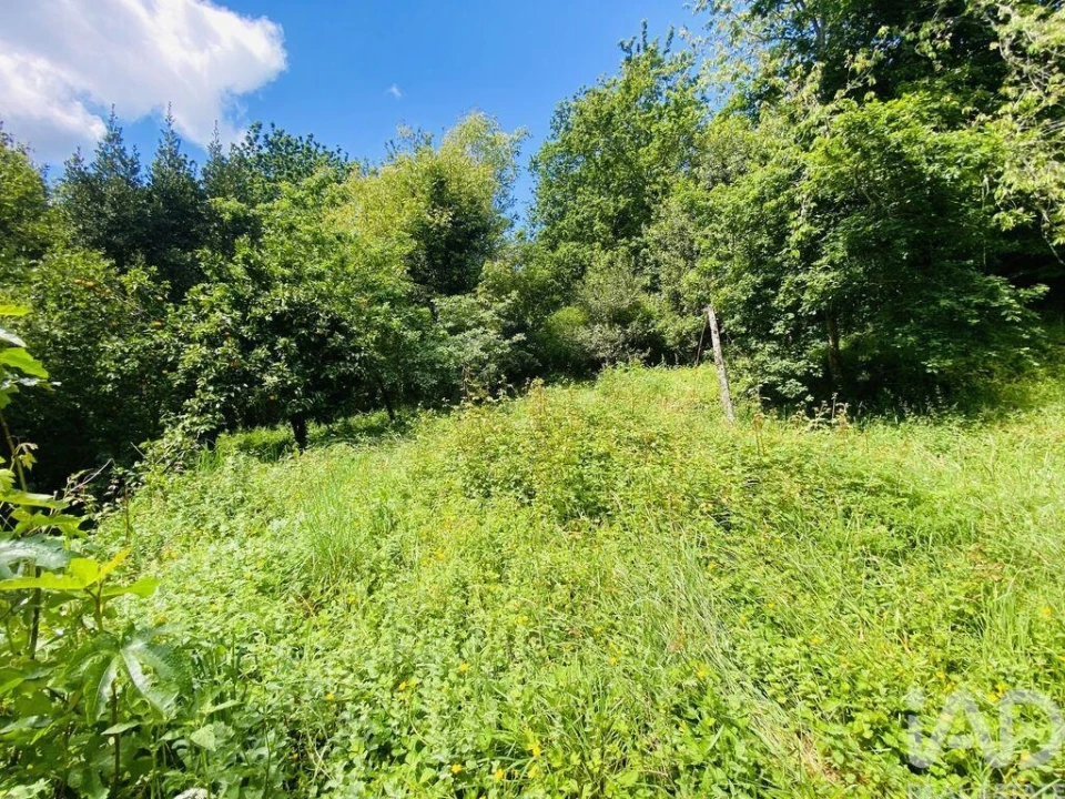 Moradia T6 para Venda em Candemil e Gondar Foto 17