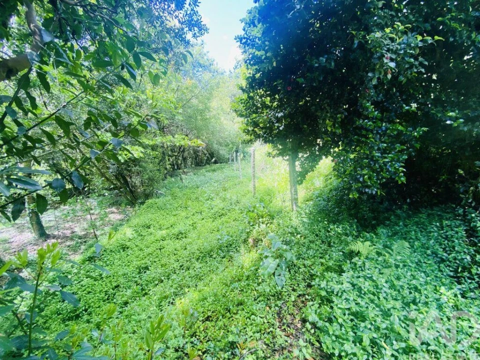 Moradia T6 para Venda em Candemil e Gondar Foto 20