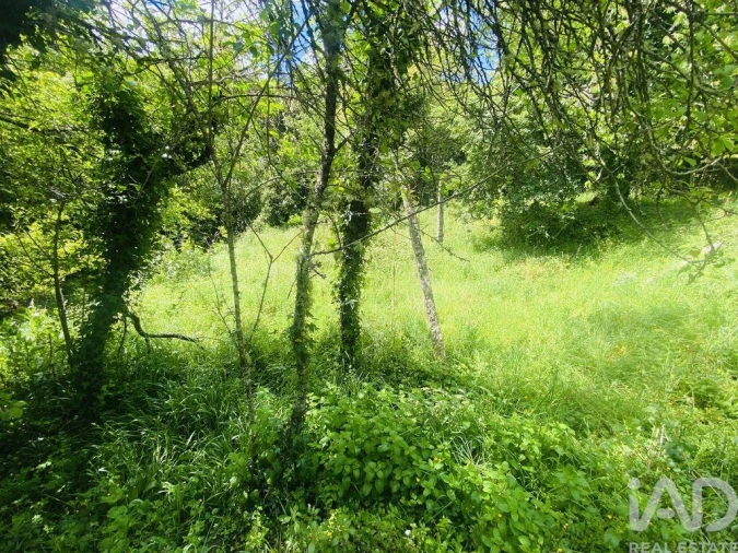 Moradia T6 para Venda em Candemil e Gondar Foto 21