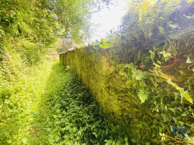 Moradia T6 para Venda em Candemil e Gondar Foto 8