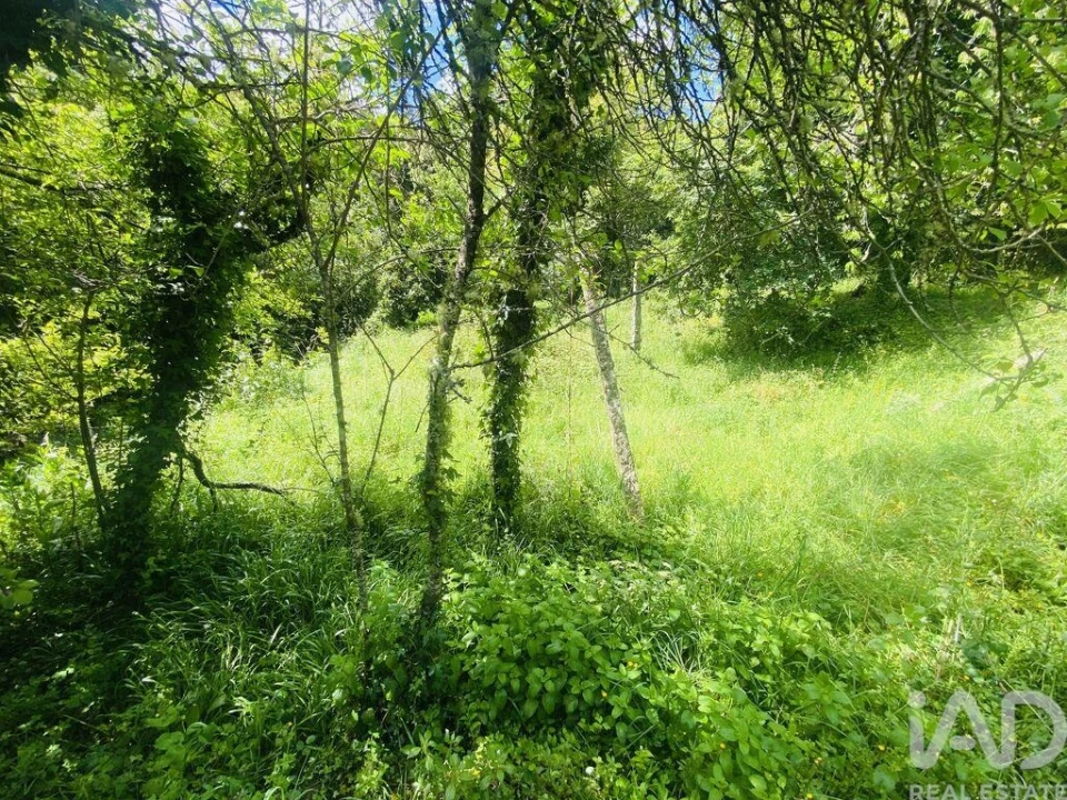 Moradia T6 para Venda em Candemil e Gondar Foto 21