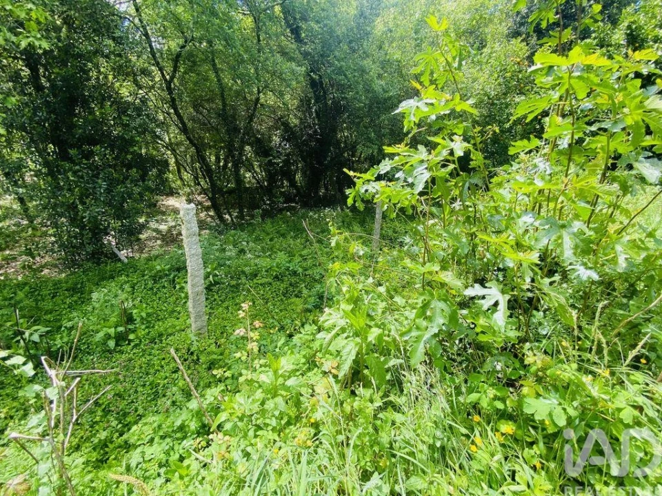 Moradia T6 para Venda em Candemil e Gondar Foto 15