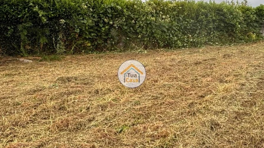 Terreno para Venda em Mazarefes e Vila Fria
