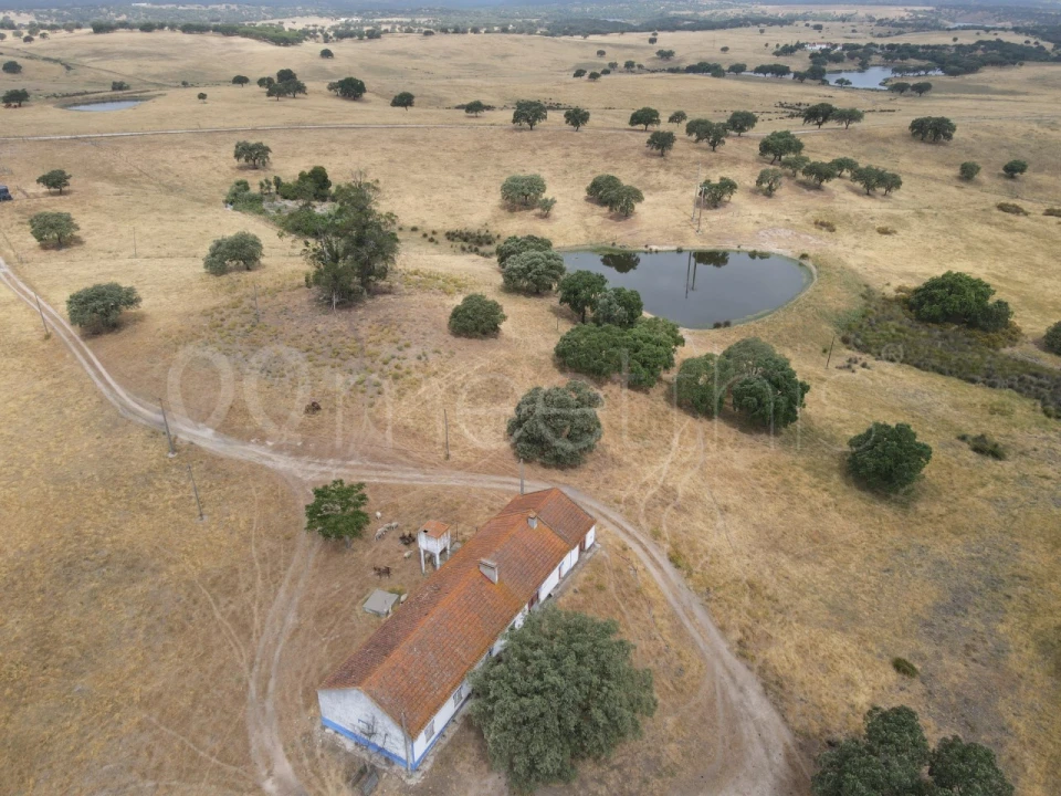 Quinta T4 para Venda em Santa Maria do Castelo e Santiago e Santa Susana Foto 20