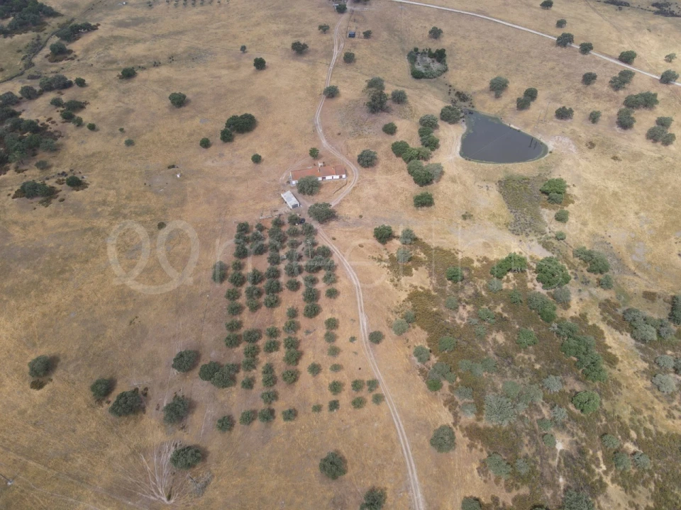 Quinta T4 para Venda em Santa Maria do Castelo e Santiago e Santa Susana Foto 4