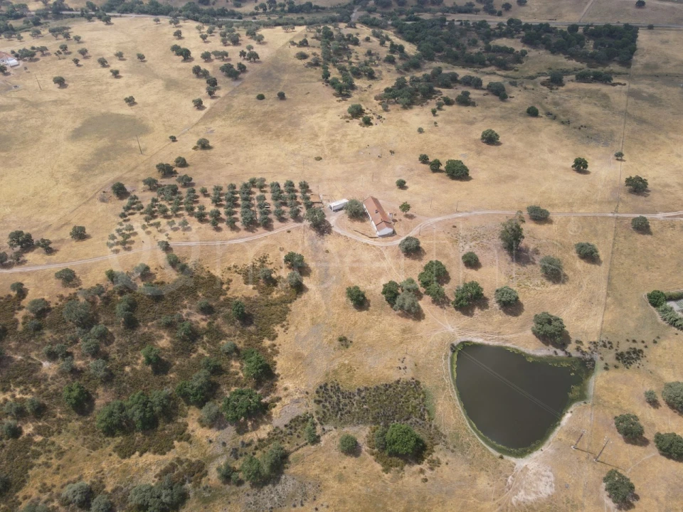 Quinta T4 para Venda em Santa Maria do Castelo e Santiago e Santa Susana Foto 5