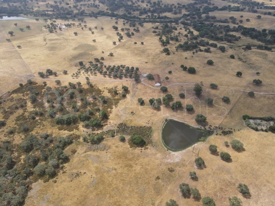 Quinta T4 para Venda em Santa Maria do Castelo e Santiago e Santa Susana Foto 6