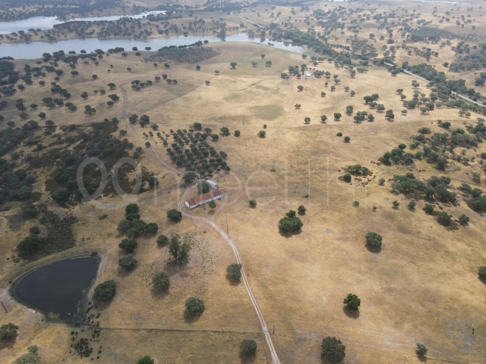 Quinta T4 para Venda em Santa Maria do Castelo e Santiago e Santa Susana Foto 8