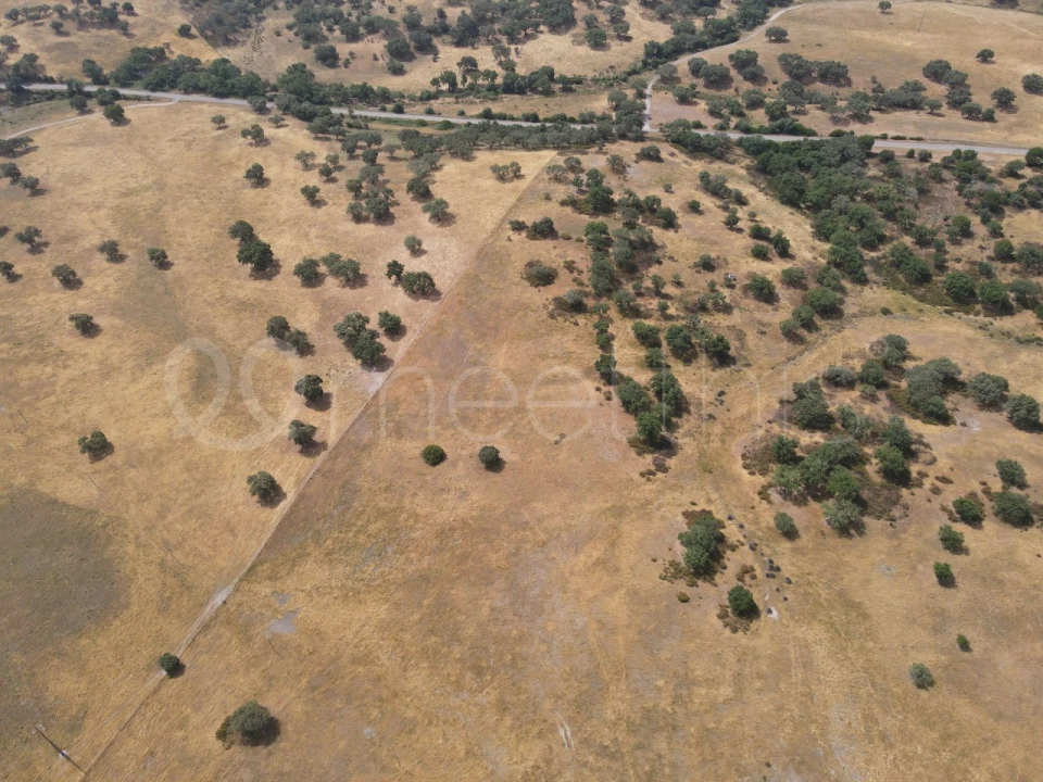 Quinta T4 para Venda em Santa Maria do Castelo e Santiago e Santa Susana Foto 9