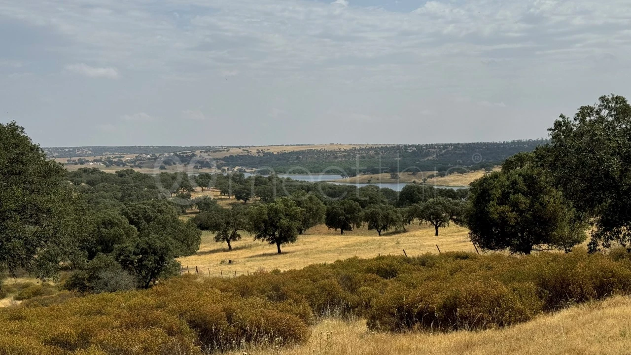 Quinta T4 para Venda em Santa Maria do Castelo e Santiago e Santa Susana Foto 13