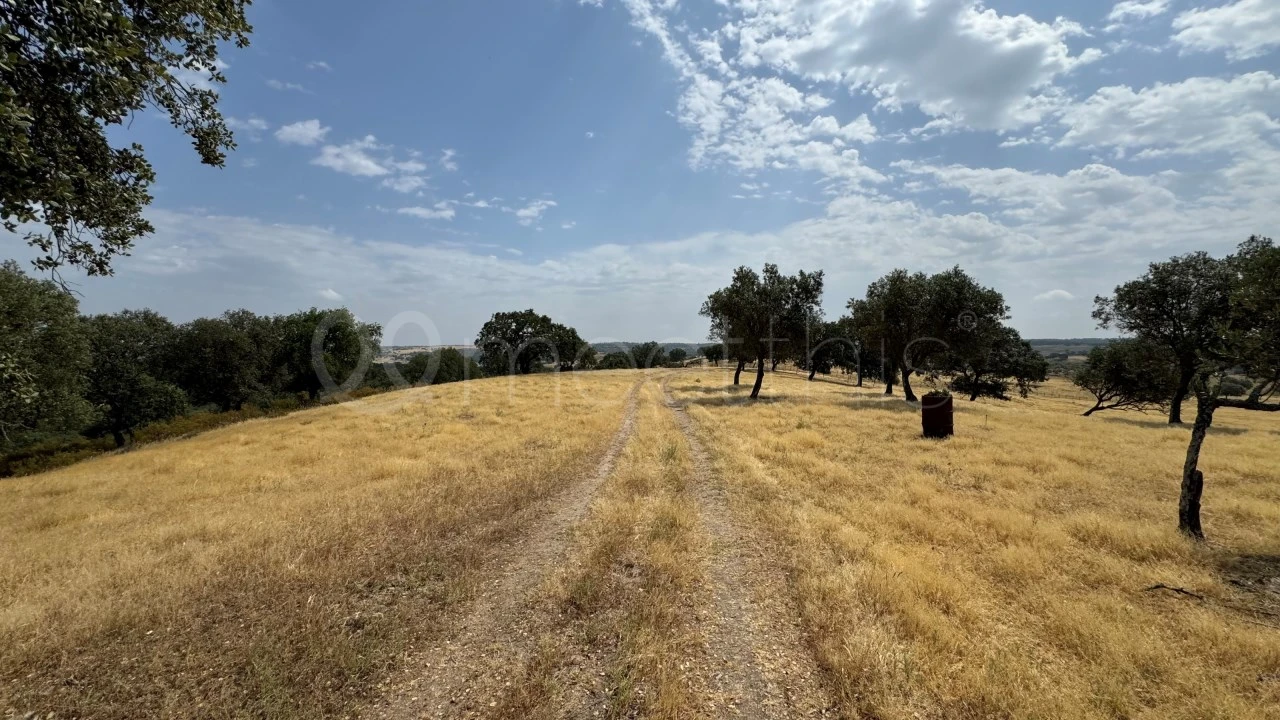 Quinta T4 para Venda em Santa Maria do Castelo e Santiago e Santa Susana Foto 14