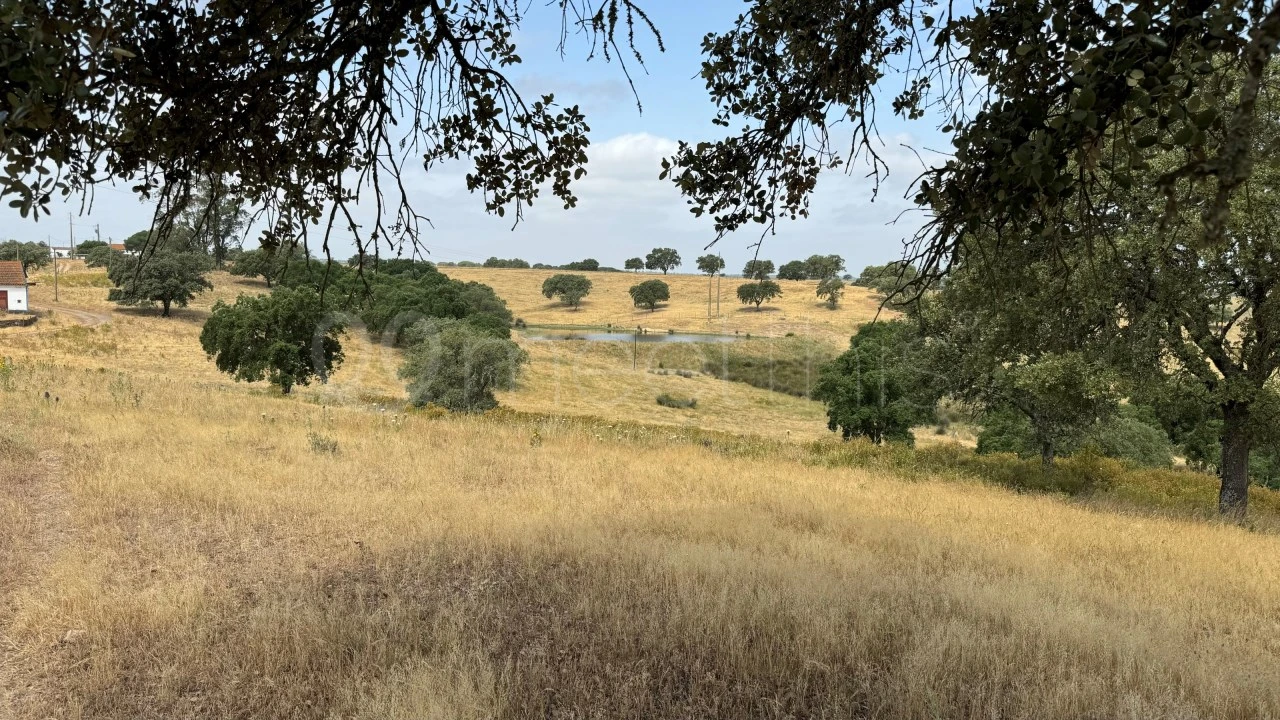 Quinta T4 para Venda em Santa Maria do Castelo e Santiago e Santa Susana Foto 15