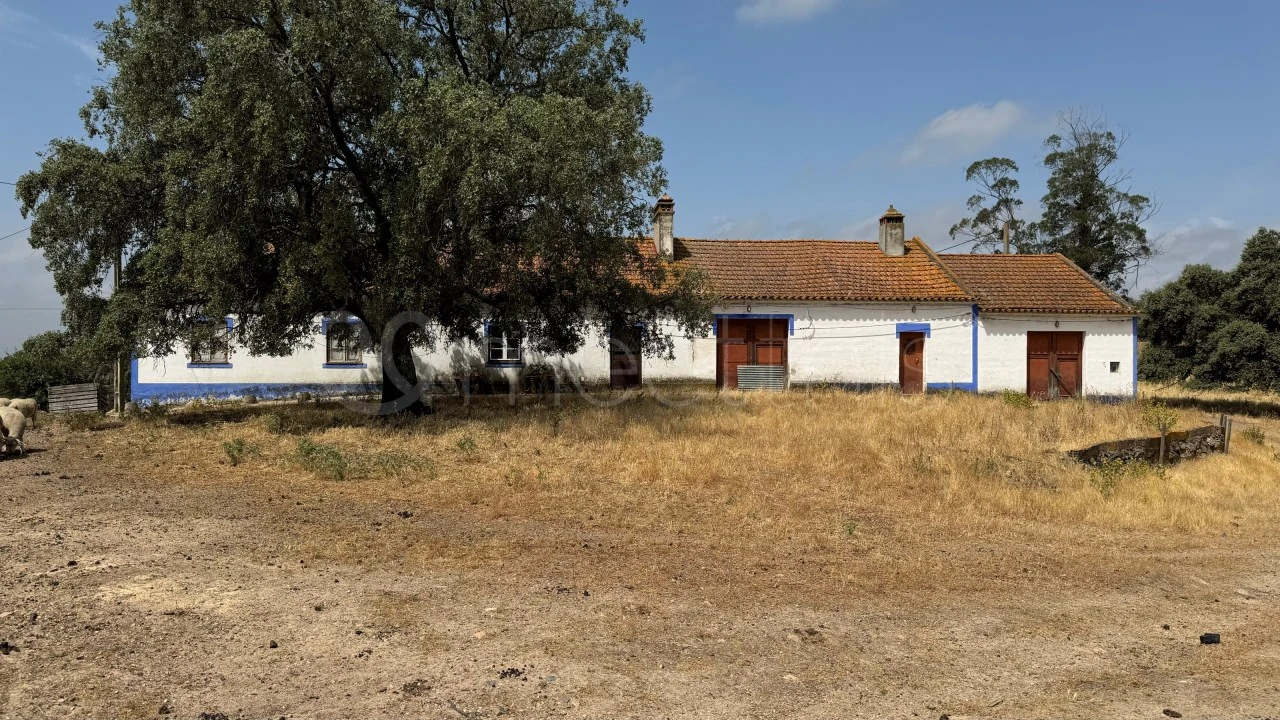 Quinta T4 para Venda em Santa Maria do Castelo e Santiago e Santa Susana Foto 21