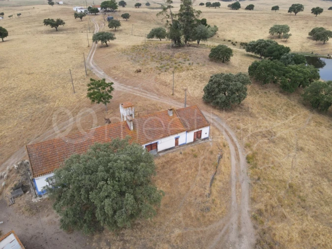 Quinta T4 para Venda em Santa Maria do Castelo e Santiago e Santa Susana Foto 19