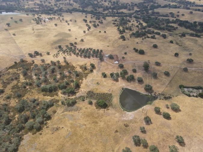 Quinta T4 para Venda em Santa Maria do Castelo e Santiago e Santa Susana Foto 6