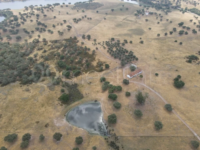 Quinta T4 para Venda em Santa Maria do Castelo e Santiago e Santa Susana Foto 7