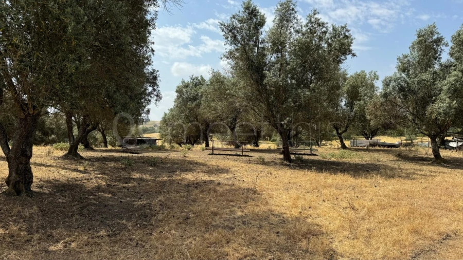 Quinta T4 para Venda em Santa Maria do Castelo e Santiago e Santa Susana Foto 16