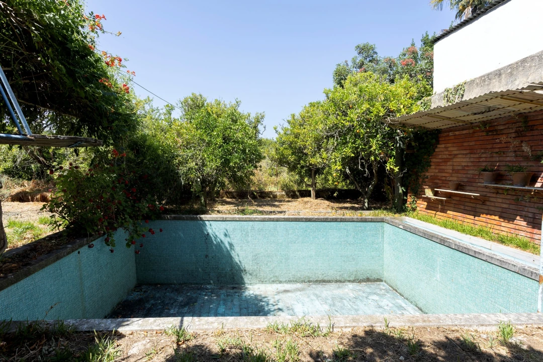 Quinta para Venda em Sardoal Foto 14