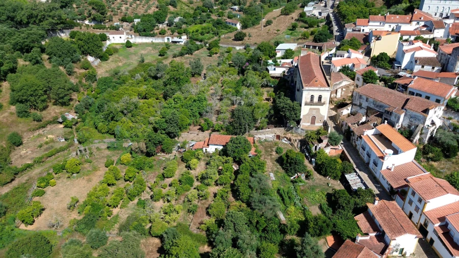 Quinta para Venda em Sardoal Foto 30