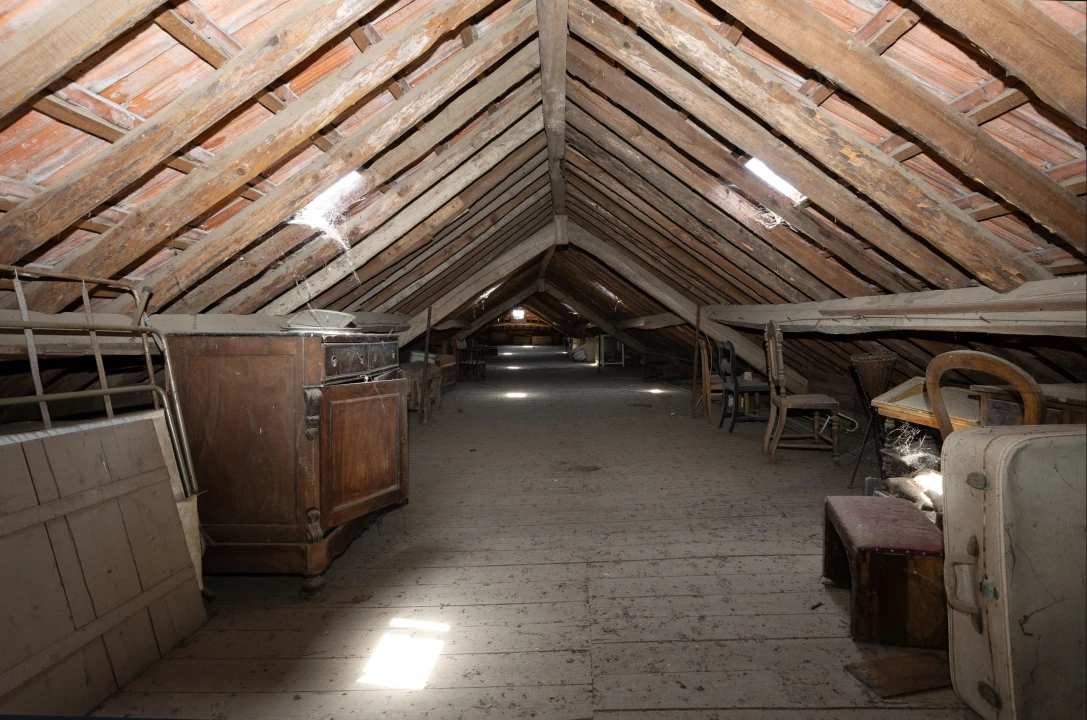 Quinta para Venda em Sardoal Foto 21