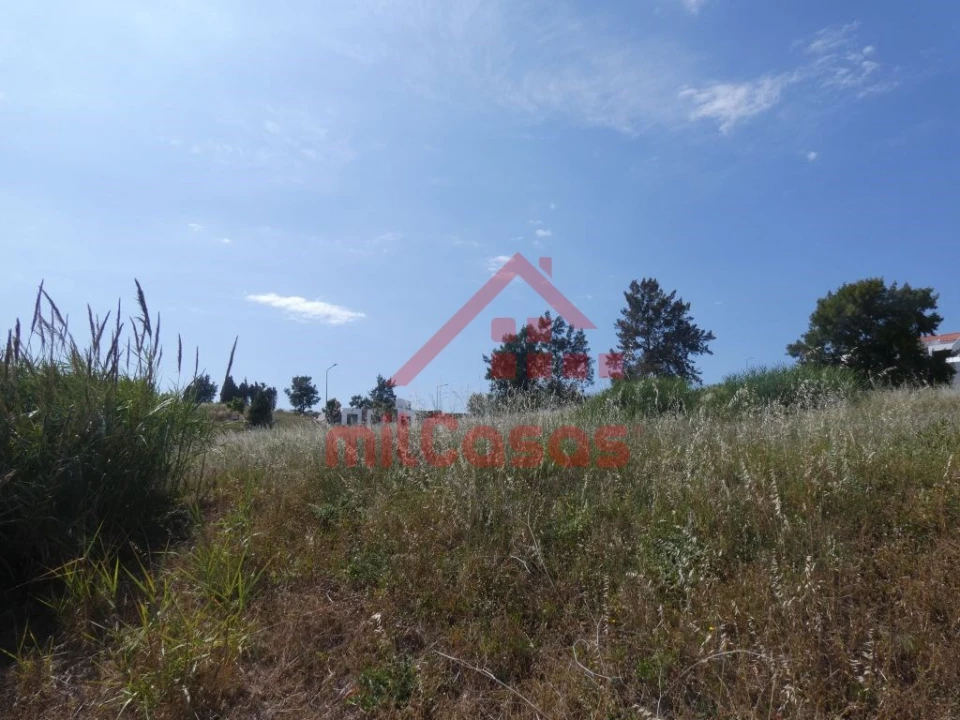 Terreno Comércio / Armazém para Venda em Ponte do Rol Foto 14