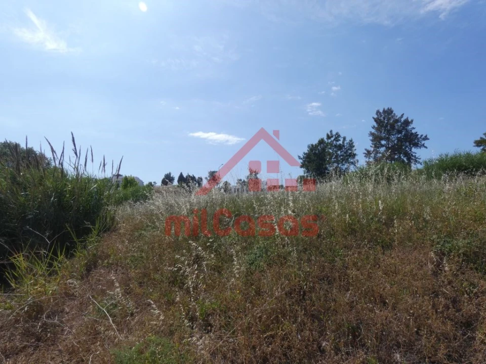 Terreno Comércio / Armazém para Venda em Ponte do Rol Foto 15