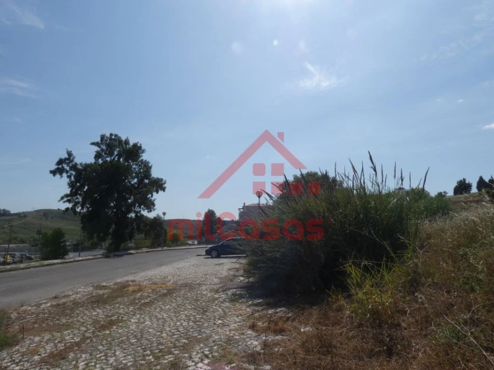 Terreno Comércio / Armazém para Venda em Ponte do Rol Foto 17