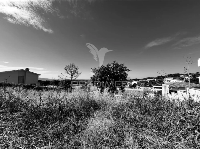 Terreno para Venda em Gavião