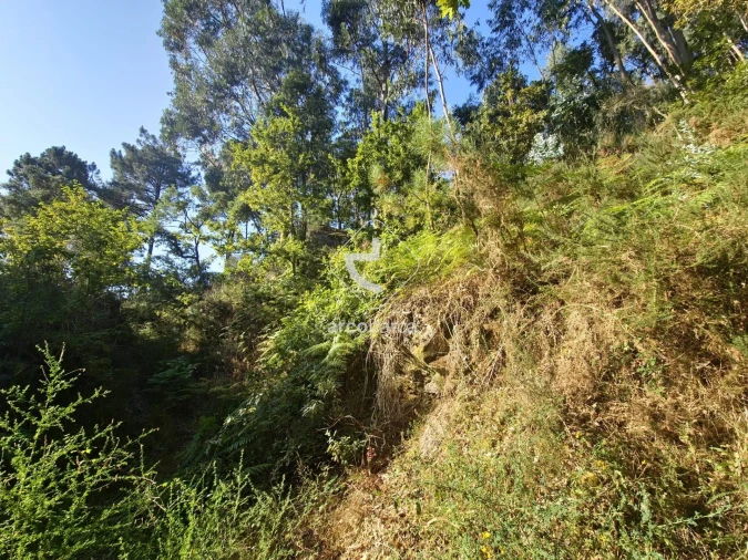 Terreno para Venda em Ponte da Barca, V.N. Muía, Paço Vedro Magalhães Foto 10