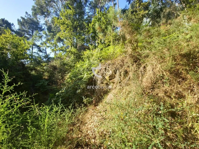 Terreno para Venda em Ponte da Barca, V.N. Muía, Paço Vedro Magalhães Foto 13