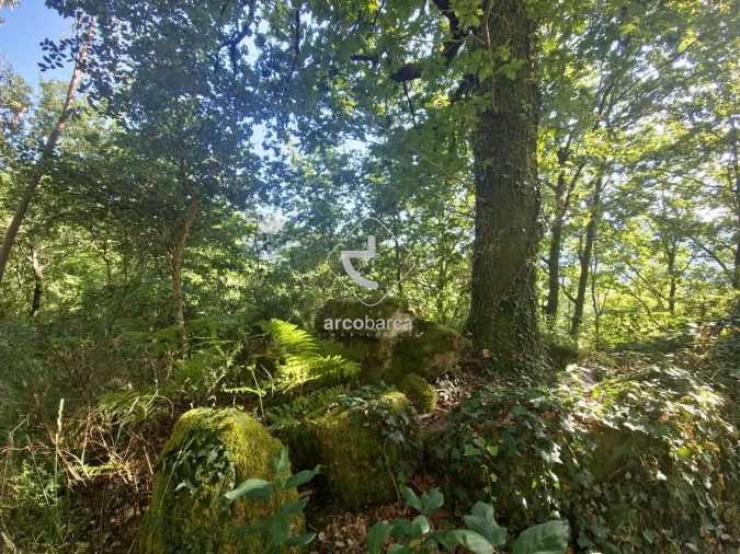 Terreno para Venda em Ponte da Barca, V.N. Muía, Paço Vedro Magalhães Foto 11