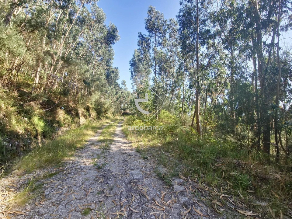 Terreno para Venda em Ponte da Barca, V.N. Muía, Paço Vedro Magalhães Foto 8
