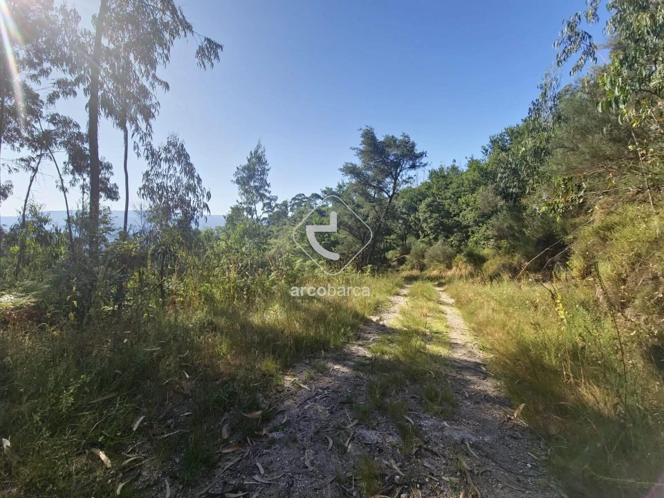 Terreno para Venda em Ponte da Barca, V.N. Muía, Paço Vedro Magalhães Foto 7